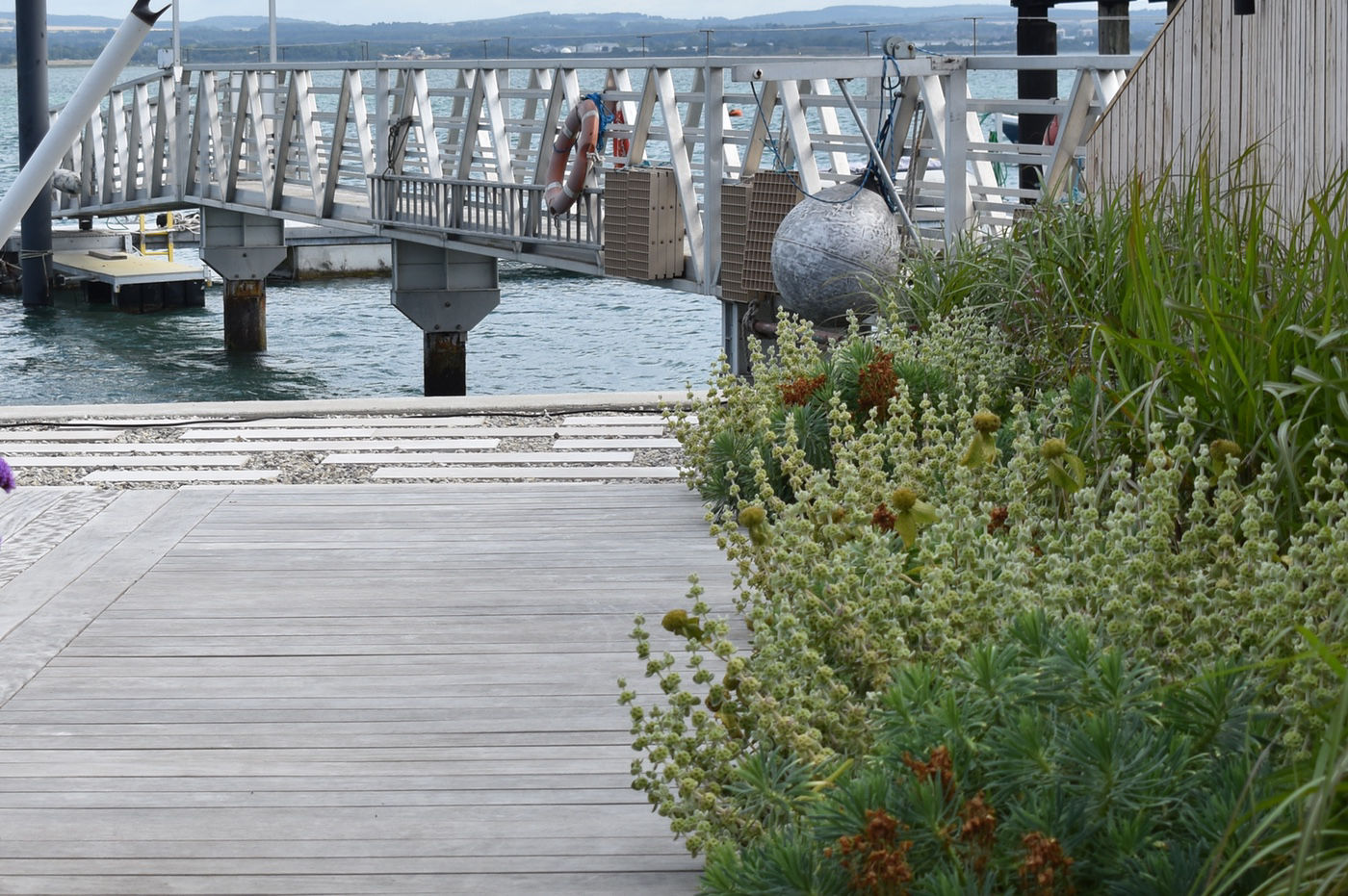 coastal_garden